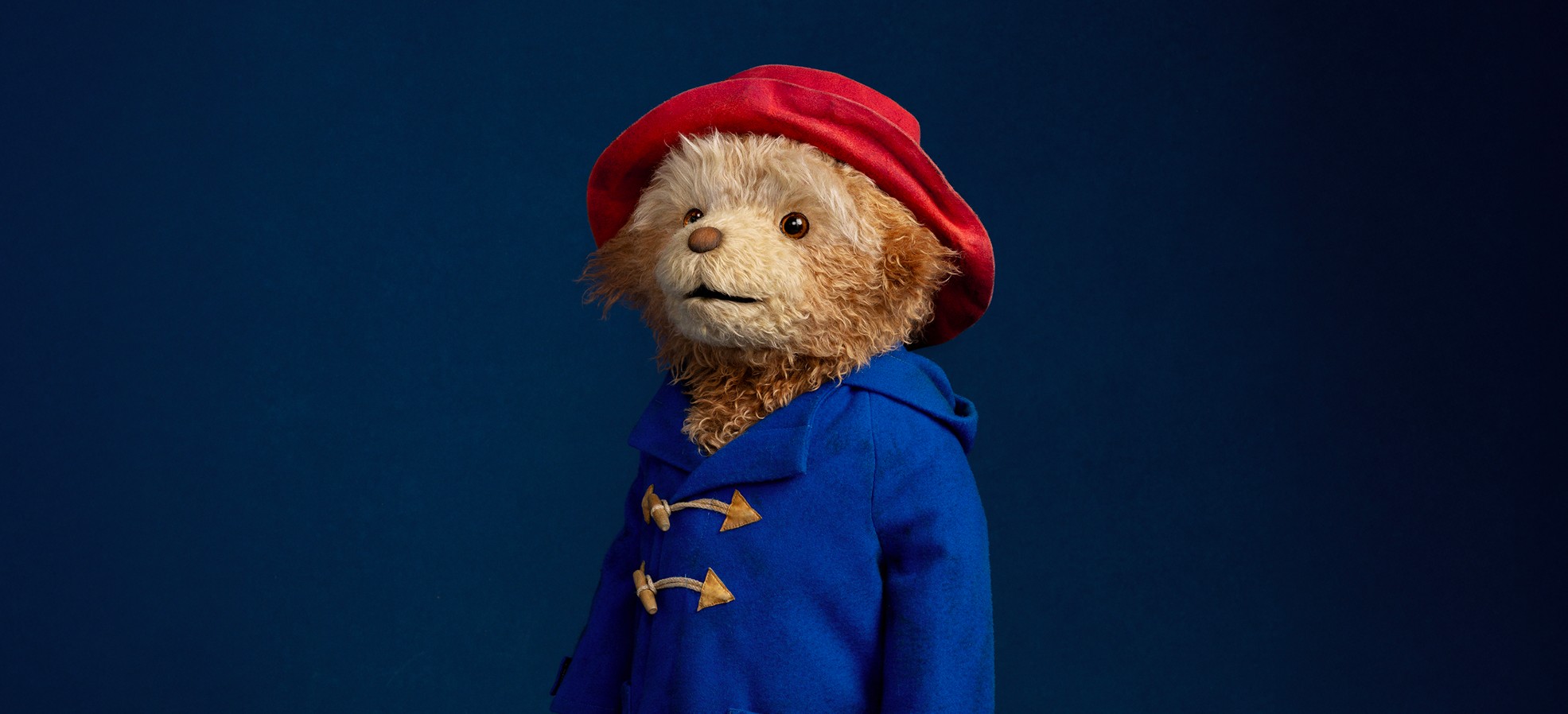 Paddington’s Big Week: New Song, New Lottery, New Cast Album