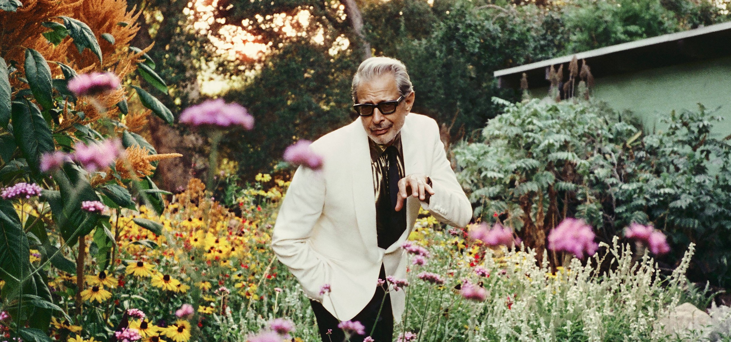 Jeff Goldblum has announced his first ever UK tour